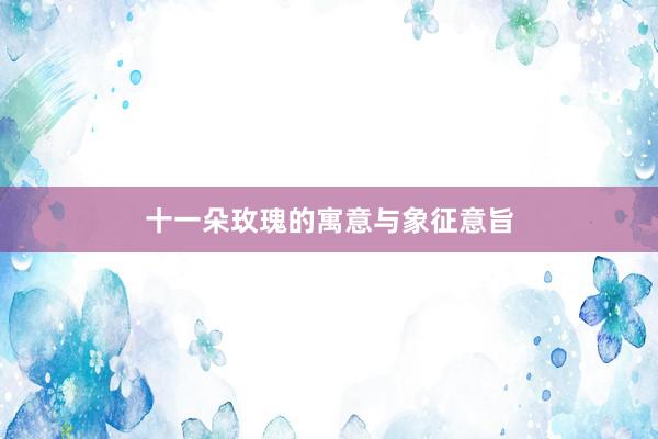 十一朵玫瑰的寓意与象征意旨