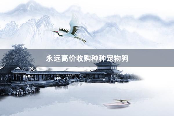 永远高价收购种种宠物狗