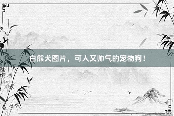 白熊犬图片,可人又帅气的宠物狗!