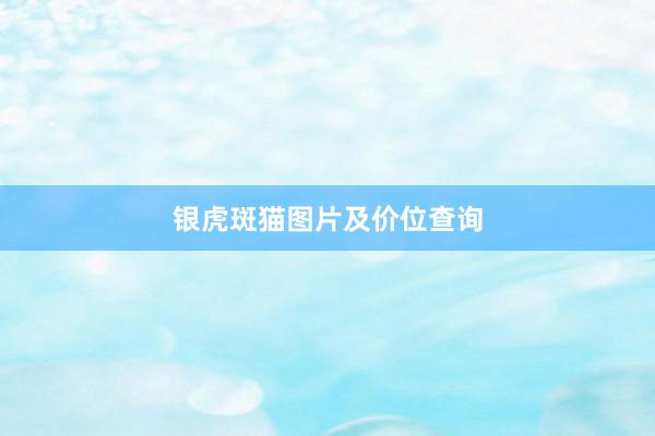 银虎斑猫图片及价位查询