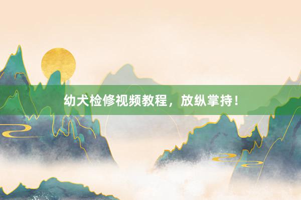 幼犬检修视频教程，放纵掌持！