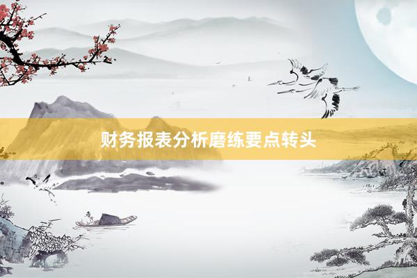 财务报表分析磨练要点转头