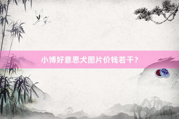 小博好意思犬图片价钱若干？